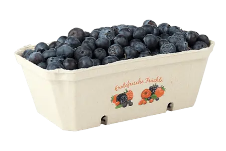 Schalen aus FSC®-zertifizierten Zellstoff für Blaubeeren.