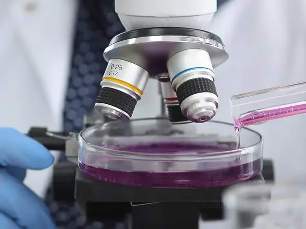 Forscher beobachten Kulturen aus einem Reagenzglas unter einem Microskop.