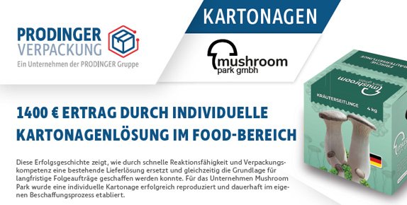 PDF-Vorschau der Erfolgsgeschichte zur Materialeinsparung durch individuelle Kartonverpackung