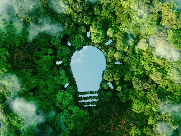 Ein See in Glühbirnen-Optik inmitten eines grünen Waldes deutet auf die Harmonie zwischen Natur und Nachhaltigkeit hin.