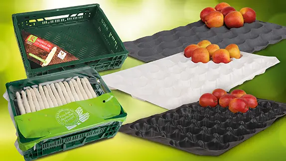 Obst und Gemüse liegen in verschiedenen Verpackungen