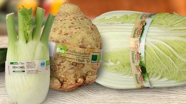 Auf einem Tisch liegen Chinakohl, Gurke, Fenchel, Knollen-Sellerie und Lauch, die mit einer Klebebanderole gekennzeichnet sind.