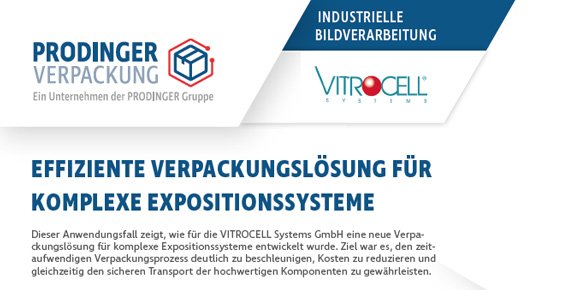 PDF-Vorschau der Erfolgsgeschichte zur Prozessoptimierung durch eine Verpackungslösung für komplexe Systeme