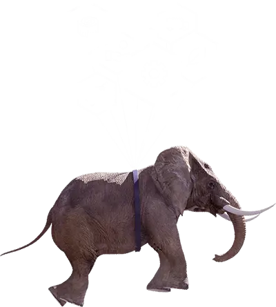 Ein Elefant, an dem symbolisierte Luftballons befestigt sind, schwebt durch die Luft.
