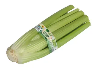 Bild des Staudenselleries mit Banderole von EDEKA vergrößern Freigestelltes Bild eines Staudensellerie mit Banderole für der Handelsmarke EDEKA Bio.