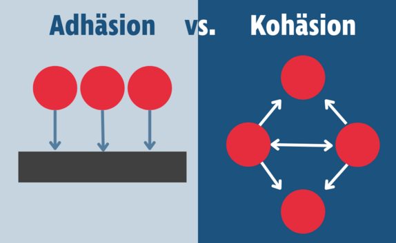 Schematisches Bild, dass den Unterschied zwischen Adhäsion und Kohäsion zeigt.