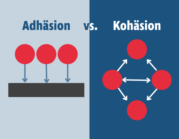 Schematisches Bild, dass den Unterschied zwischen Adhäsion und Kohäsion zeigt.